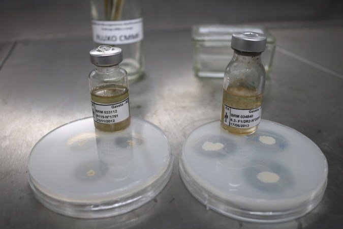 Os experimentos foram aplicados no feijão durante dois anos em Goiás, Santa Catarina e DF