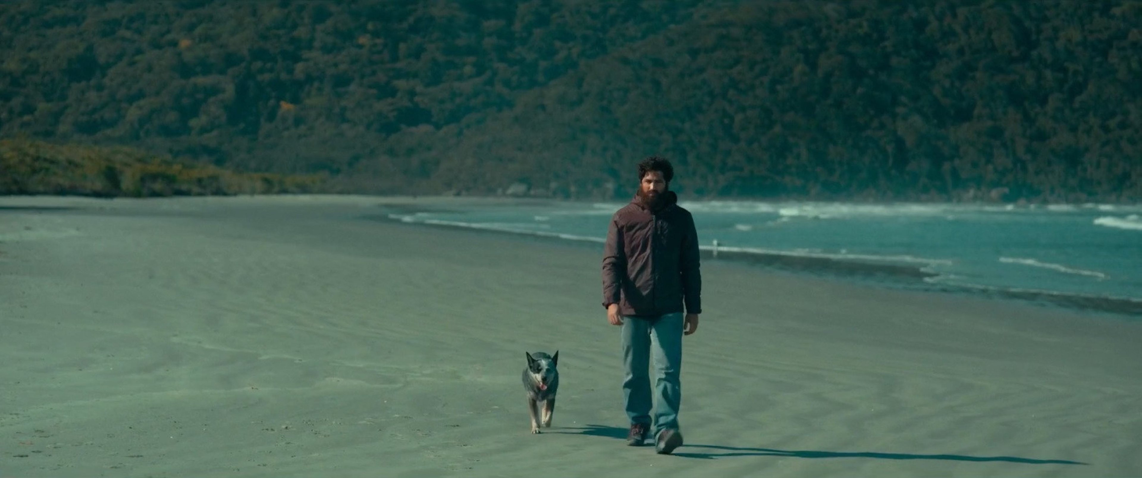 Tempo de reflexão: confira a crítica de Barba ensopada de sangue