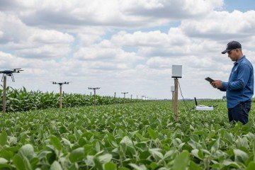 Entre 2022 e 2024, o crescimento médio da área tratada foi de 15% ao ano, indicando uma tendência de expansão contínua no setor -  (crédito: Whisk/Google IA) -Entre 2022 e 2024, o crescimento médio da área tratada foi de 15% ao ano, indicando uma tendência de expansão contínua no setor -  (crédito: Whisk/Google IA)