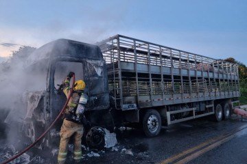 O veículo teve perda total - (crédito: Corpo de Bombeiros Militar de Minas Gerais/Divulgação) O veículo teve perda total - (crédito: Corpo de Bombeiros Militar de Minas Gerais/Divulgação)