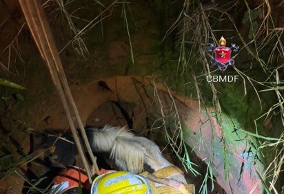 Bombeiros resgatam égua de cisterna -  (crédito: CBMDF/Divulgação) -Bombeiros resgatam égua de cisterna -  (crédito: CBMDF/Divulgação)