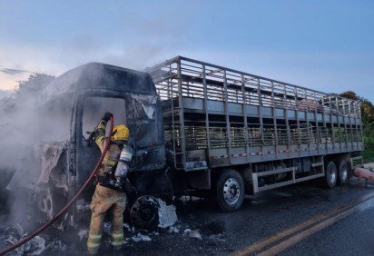O veículo teve perda total -  (crédito: Corpo de Bombeiros Militar de Minas Gerais/Divulgação) -O veículo teve perda total -  (crédito: Corpo de Bombeiros Militar de Minas Gerais/Divulgação)