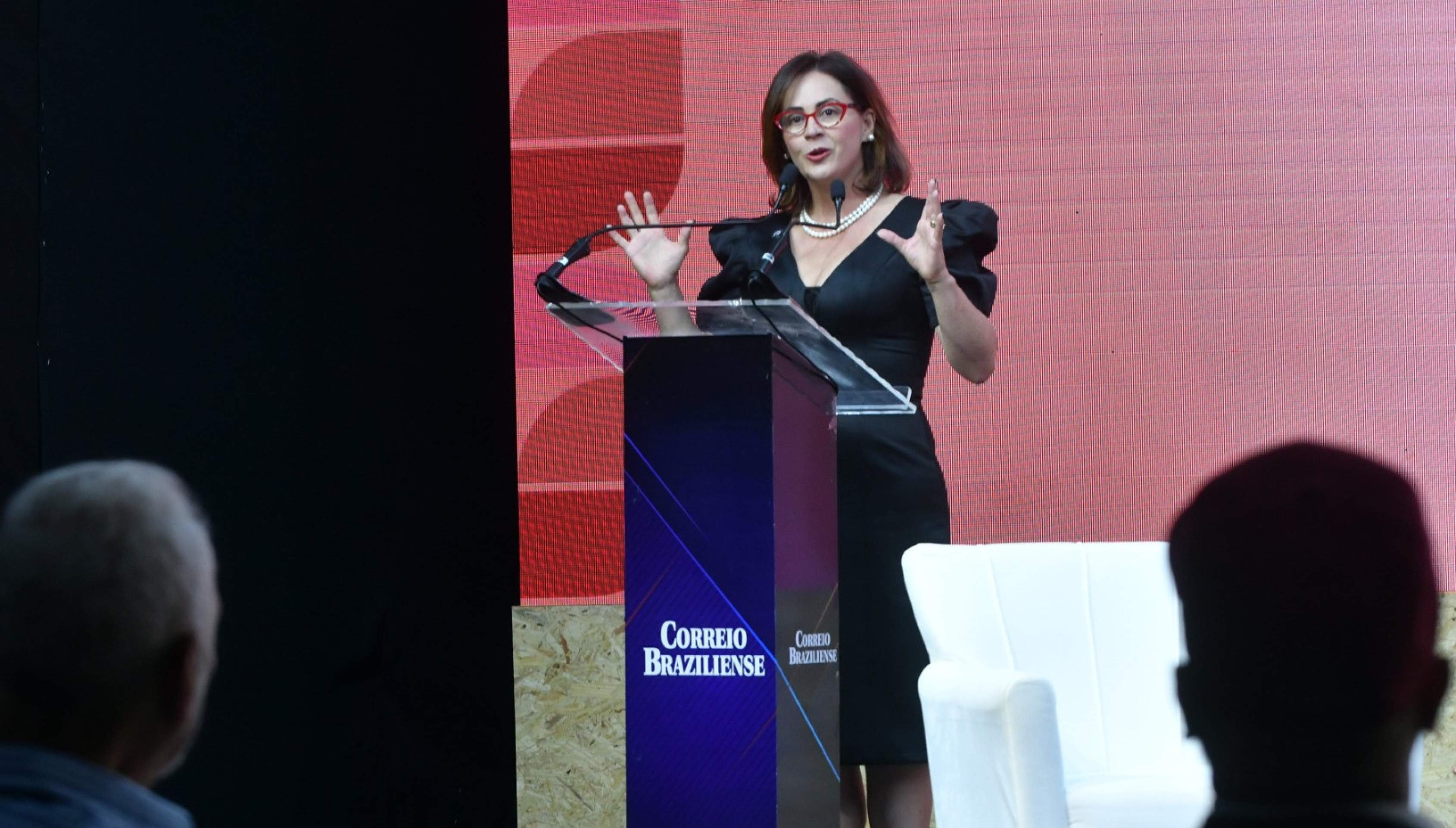 Classe artística e setor produtivo discutem o futuro de Ceilândia