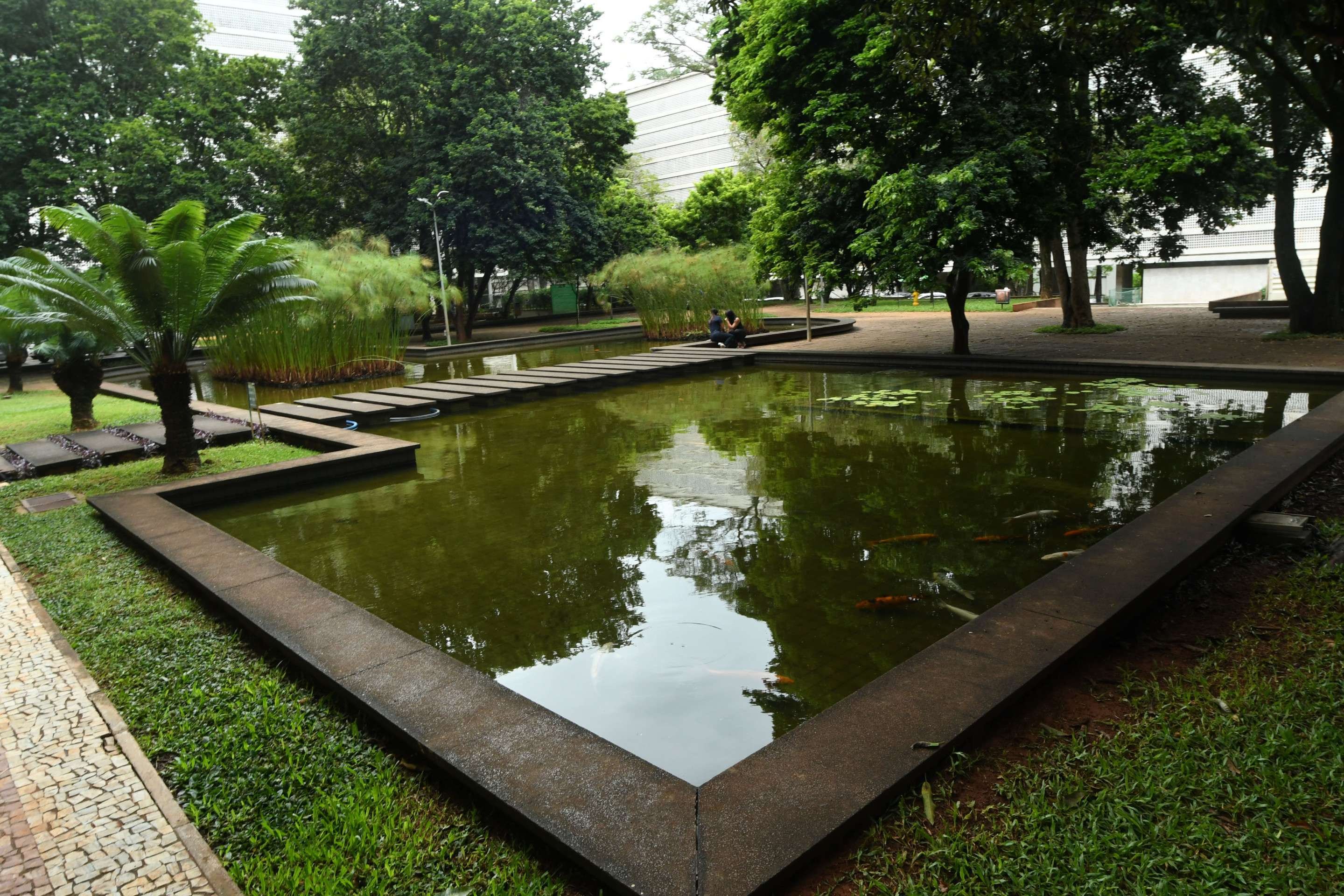 Laguinho das carpas completa o ambiente buc&oacute;lico da 308 Sul