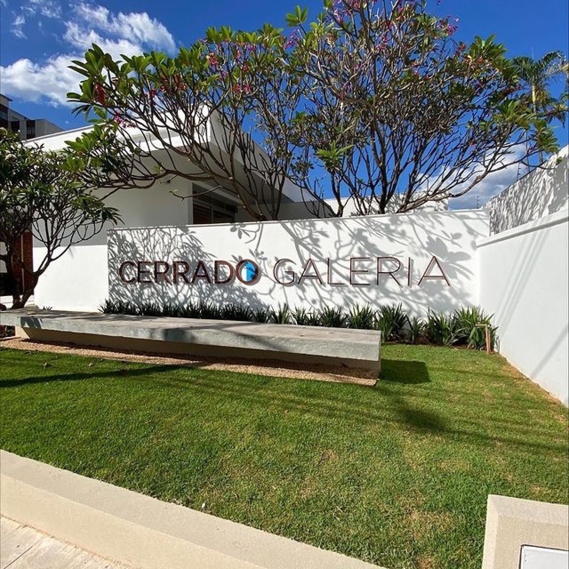 Cerrado Galeria inaugura exposições de Lais Myrrha e Helô Sanvoy