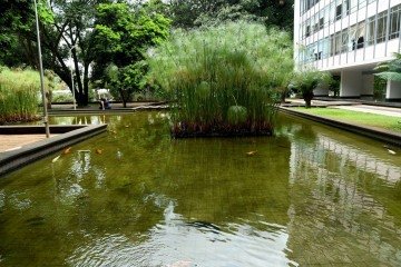  01/04/2026 Crédito: Marcelo Ferreira/CB/D.A Press. Brasil. Brasília - DF -  Brasília - Laguinho das carpas na 308 Sul. -  (crédito:  Marcelo Ferreira/CB/D.A Press)