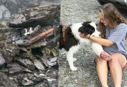 A equipe conseguiu identificar o animal na base da cachoeira -  (crédito: Reprodução/Redes sociais) -A equipe conseguiu identificar o animal na base da cachoeira -  (crédito: Reprodução/Redes sociais)