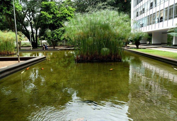  01/04/2026 Crédito: Marcelo Ferreira/CB/D.A Press. Brasil. Brasília - DF -  Brasília - Laguinho das carpas na 308 Sul. -  (crédito:  Marcelo Ferreira/CB/D.A Press)