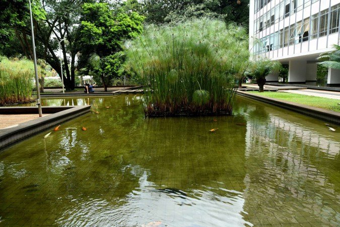 01/04/2026 Crédito: Marcelo Ferreira/CB/D.A Press. Brasil. Brasília - DF - Brasília - Laguinho das carpas na 308 Sul. - (crédito: Marcelo Ferreira/CB/D.A Press) 01/04/2026 Crédito: Marcelo Ferreira/CB/D.A Press. Brasil. Brasília - DF - Brasília - Laguinho das carpas na 308 Sul. - (crédito: Marcelo Ferreira/CB/D.A Press)