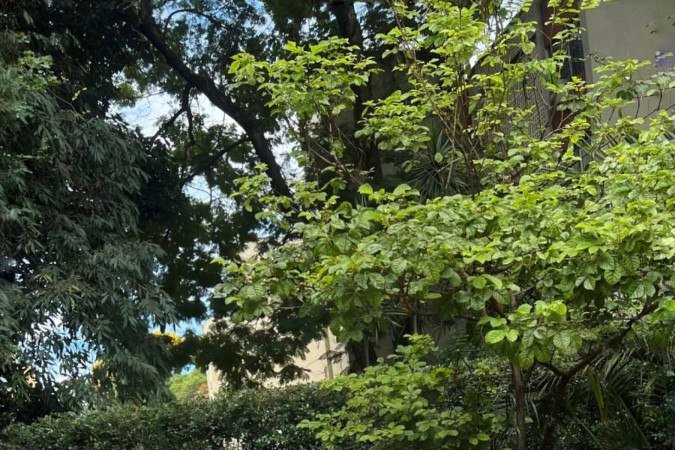 Paolla descobriu um c&acirc;ncer de mama enquanto tomava banho e recebeu uma rede apoio e amor