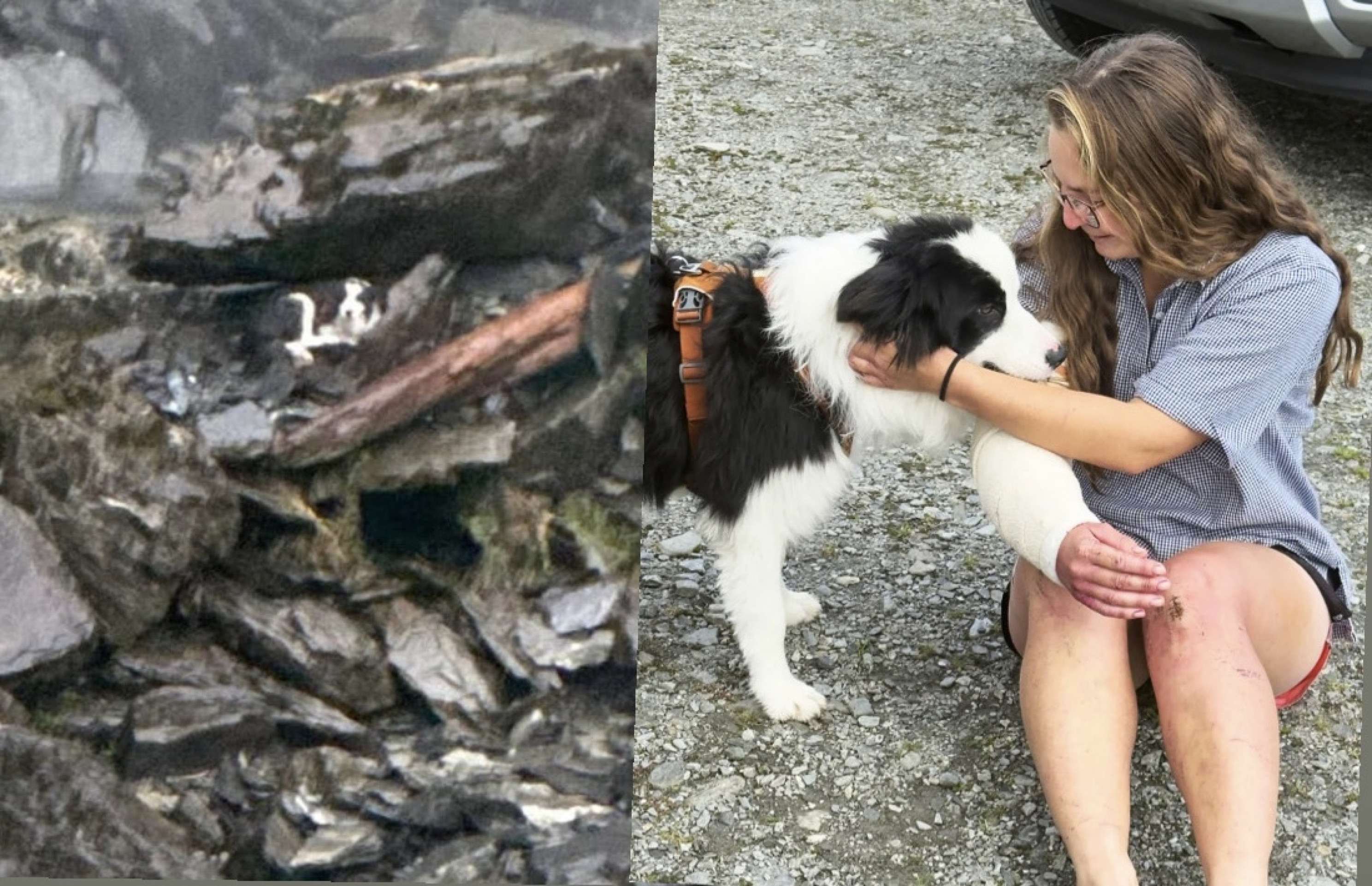 Cadela espera tutora por uma semana após queda de cachoeira