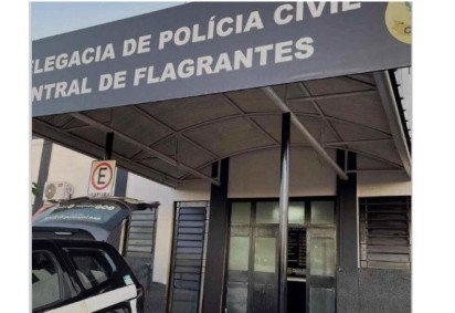 Caso é investigado pela Delegacia de Águas Lindas -  (crédito: PCGO/Divulgação)