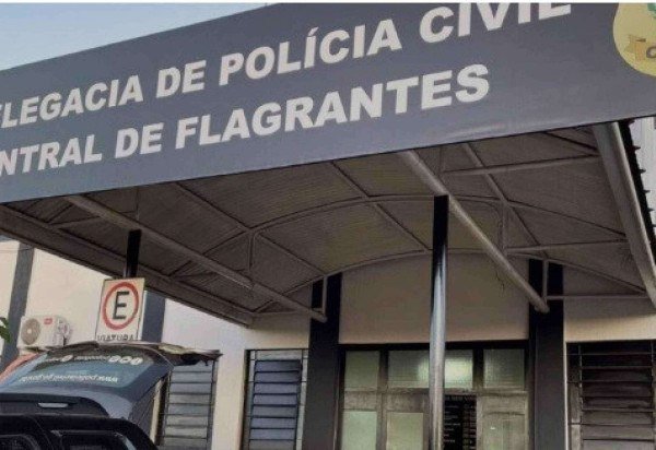 Caso é investigado pela Delegacia de Águas Lindas -  (crédito: PCGO/Divulgação)