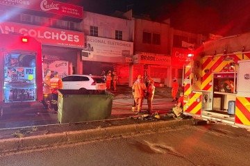 Equipes do CBMDF resgataram um gato e um cachorro sem ferimentos aparentes  -  (crédito: Maria Eduarda Lavocat)