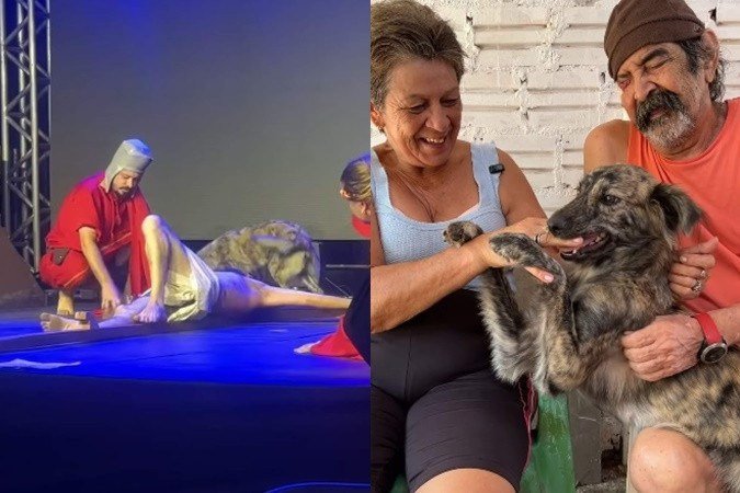 Cadela que defendeu Jesus em encenação da Paixão de Cristo reencontra família - (crédito: Reprodução/Redes Sociais/ABC+) Cadela que defendeu Jesus em encenação da Paixão de Cristo reencontra família - (crédito: Reprodução/Redes Sociais/ABC+)