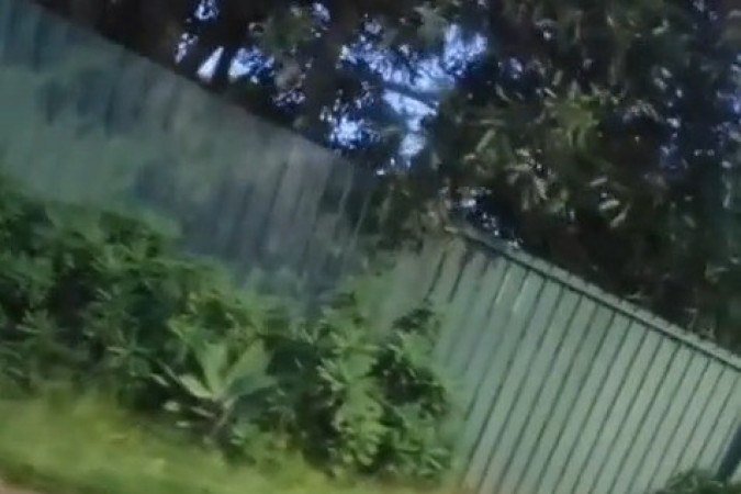 Vídeo gravado por motorista de app mostra onça próxima a uma casa - (crédito: Material cedido ao Correio) Vídeo gravado por motorista de app mostra onça próxima a uma casa - (crédito: Material cedido ao Correio)