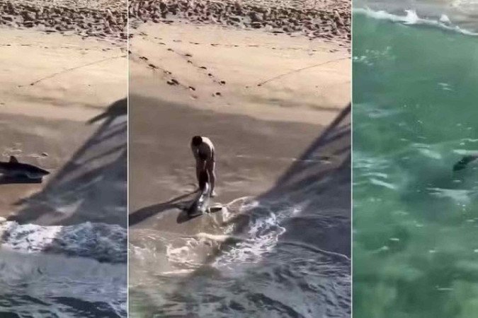 Pescador enfrenta risco e salva tubarão-branco na Califórnia - (crédito: Reprodução/X) Pescador enfrenta risco e salva tubarão-branco na Califórnia - (crédito: Reprodução/X)