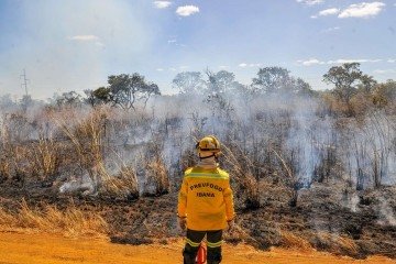 O curso ter&aacute; aulas te&oacute;ricas e pr&aacute;ticas ministradas pelo Centro Nacional de Preven&ccedil;&atilde;o e Combate aos Inc&ecirc;ndios Florestais (Prevfogo), do Ibama  -  (crédito:  | Foto: Joel Rodrigues/Ag&ecirc;ncia Bras&iacute;lia)