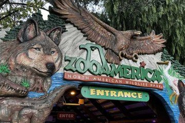 O caso ocorreu enquanto os pais da criança estavam no celular
- (crédito: Reprodução/Redes sociais) O caso ocorreu enquanto os pais da criança estavam no celular
- (crédito: Reprodução/Redes sociais)