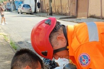 Maritaca &eacute; resgatada por Corpo de Bombeiros em Po&ccedil;os de Caldas (MG), em meio a emaranhado de fios com cerol. -  (crédito: CBMMG)