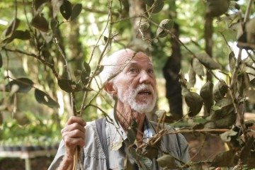João Batista criou um banco de germoplasma com 217 espécies vegetais -  (crédito:  Divulgação MRN) -João Batista criou um banco de germoplasma com 217 espécies vegetais -  (crédito:  Divulgação MRN)