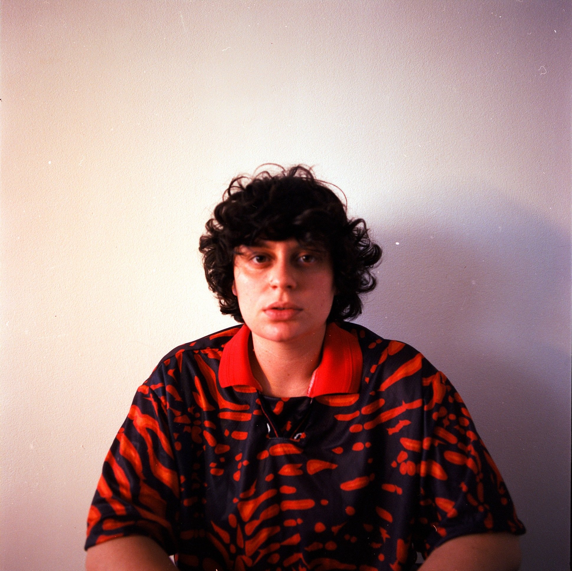 Ana Frango El&eacute;trico