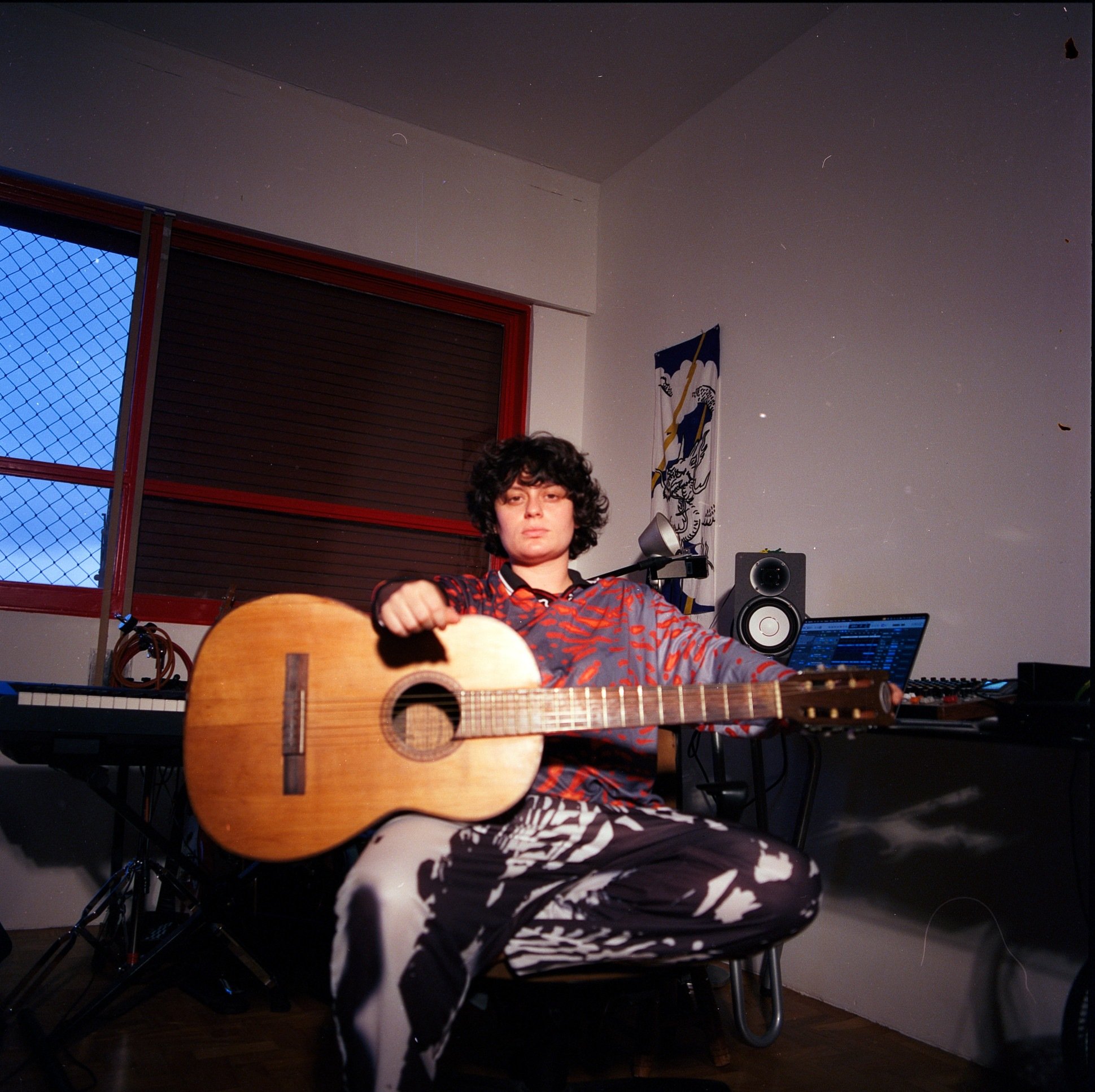 Ana Frango El&eacute;trico