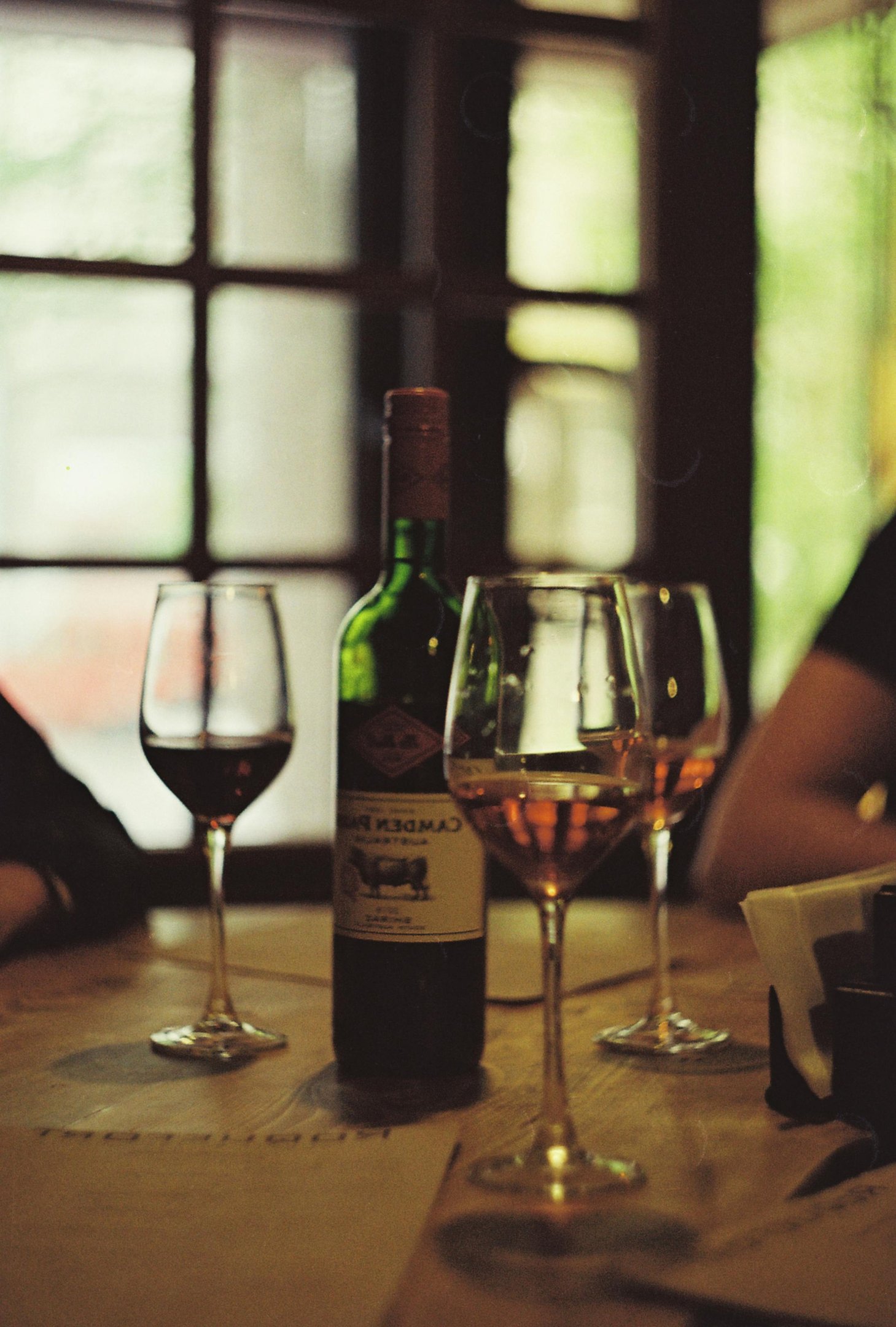 Descubra o que vinho realmente causa ao intestino e coração