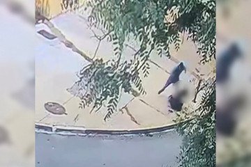 Homem agride ex-companheira na Asa Sul -  (crédito: Material cedido ao Correio) -Homem agride ex-companheira na Asa Sul -  (crédito: Material cedido ao Correio)