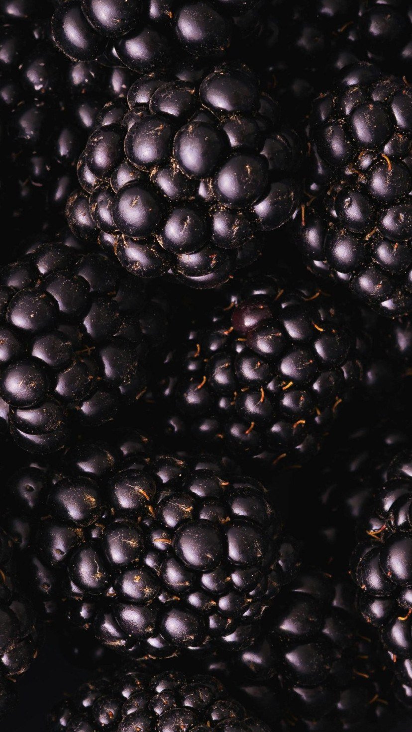 Amora (Morus nigra)
 -  (crédito: Reprodução/ Pexels)