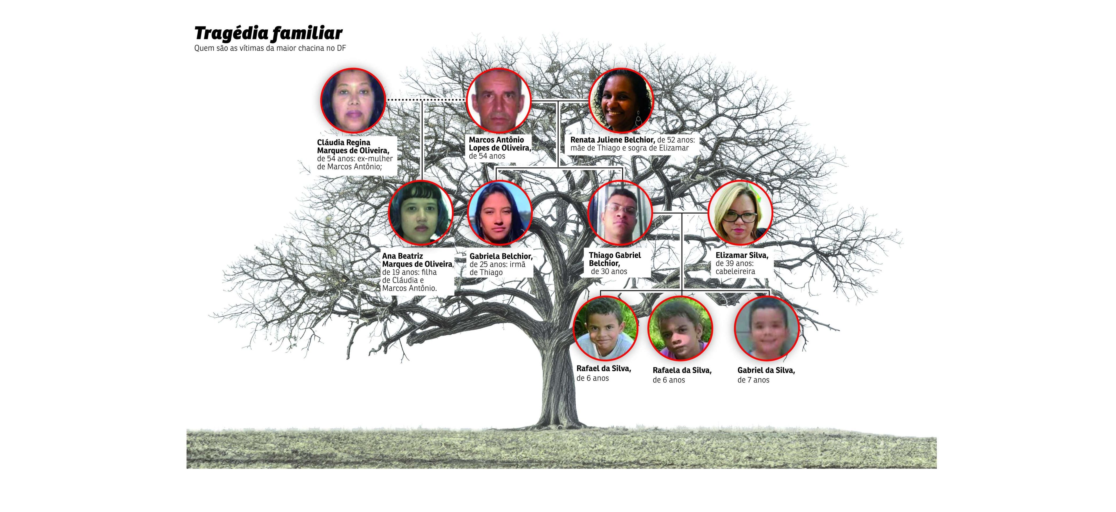 arvore genealogica