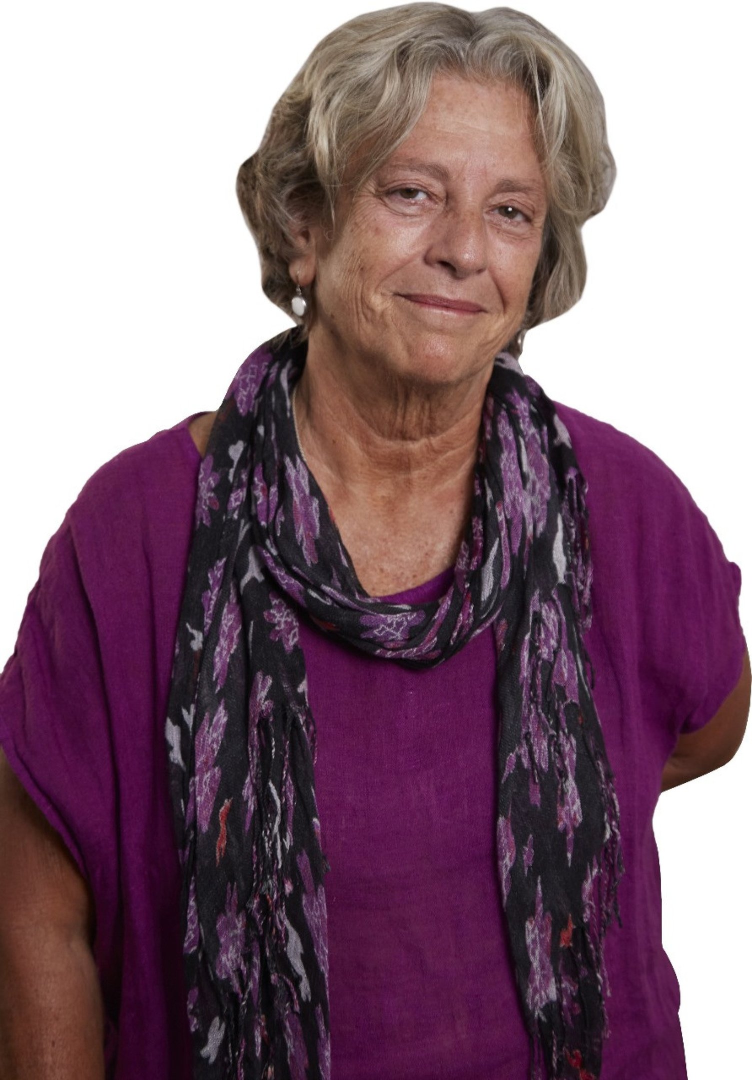 A economista Ana L&uacute;cia Lima explica a rela&ccedil;&atilde;o do Programa Nacional de Ensino (PNE) e a janela demogr&aacute;fica dos pr&oacute;ximos anos