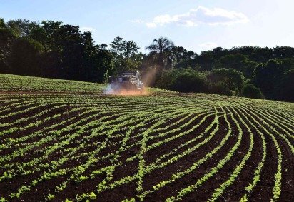 Se o Brasil perder o fornecimento de ureia iraniana, terá que disputar o produto com a Índia e os EUA em outros mercados, o que elevará ainda mais os preços globais e a inflação de alimentos -  (crédito: REUTERS/Adriano Machado) -Se o Brasil perder o fornecimento de ureia iraniana, terá que disputar o produto com a Índia e os EUA em outros mercados, o que elevará ainda mais os preços globais e a inflação de alimentos -  (crédito: REUTERS/Adriano Machado)