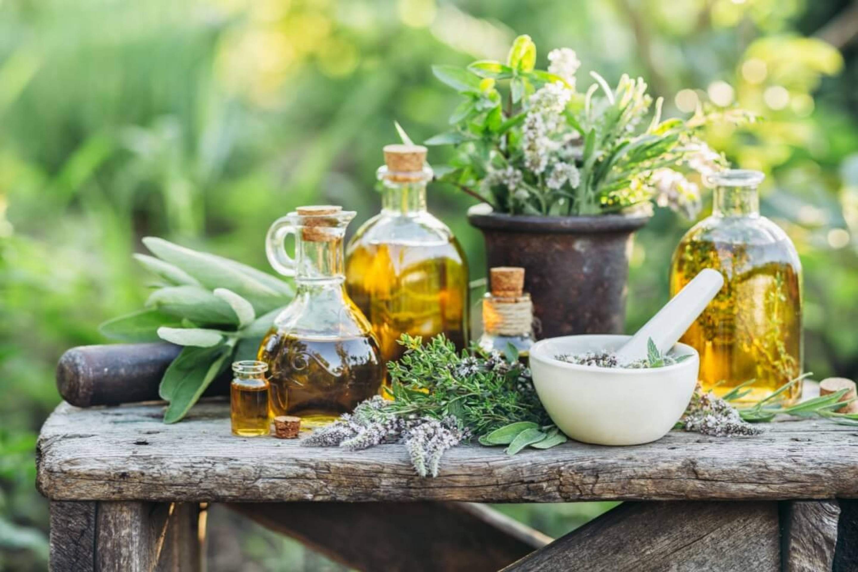 As plantas podem ser excelentes aliadas para aliviar os sintomas da menopausa (Imagem: Valentina_G | Shutterstock) - (crédito: EdiCase) As plantas podem ser excelentes aliadas para aliviar os sintomas da menopausa (Imagem: Valentina_G | Shutterstock) - (crédito: EdiCase)