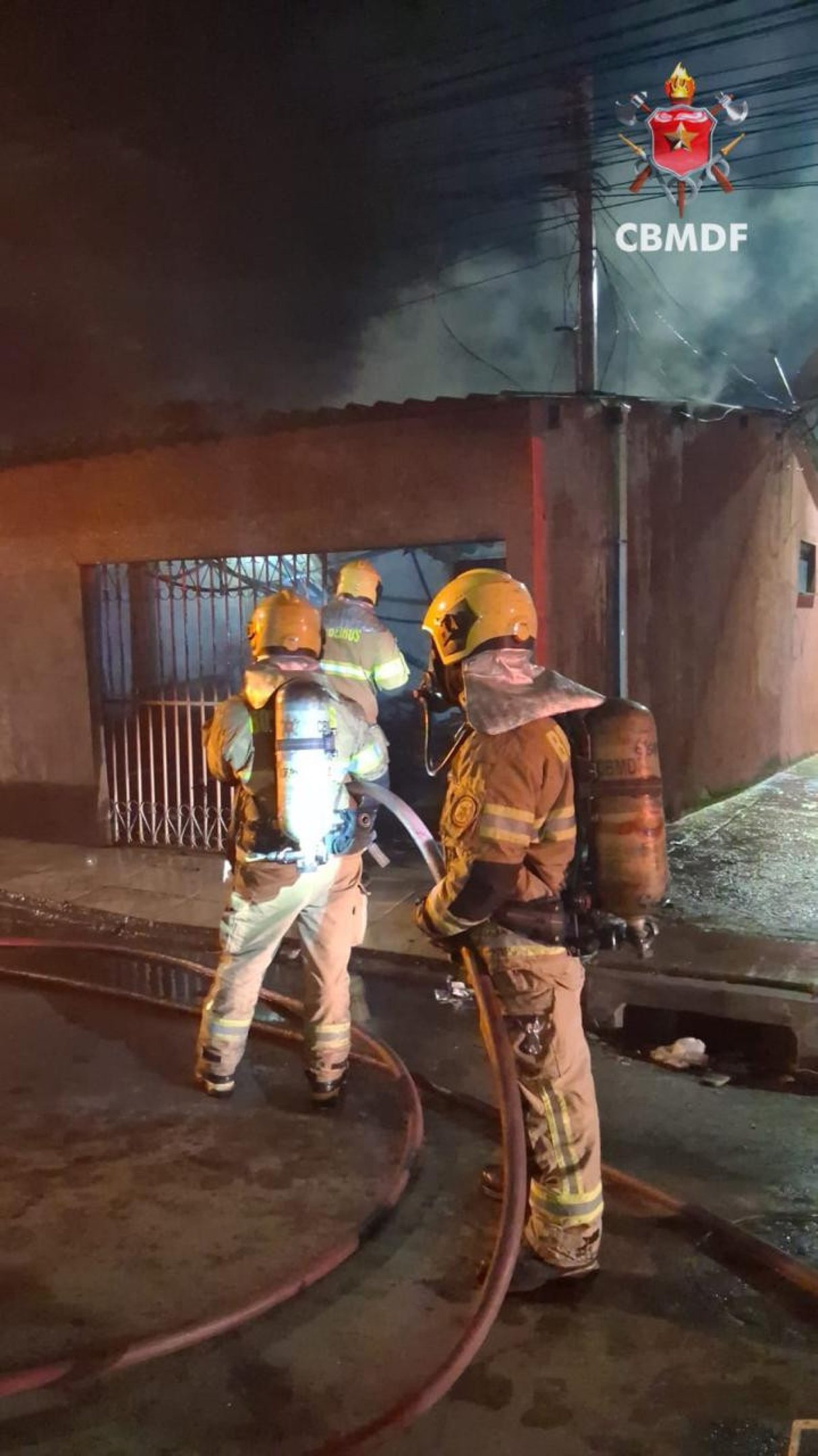 Um gato e um cachorro que estavam na casa da Candangol&acirc;ndia foram resgatados pelas equipes 
