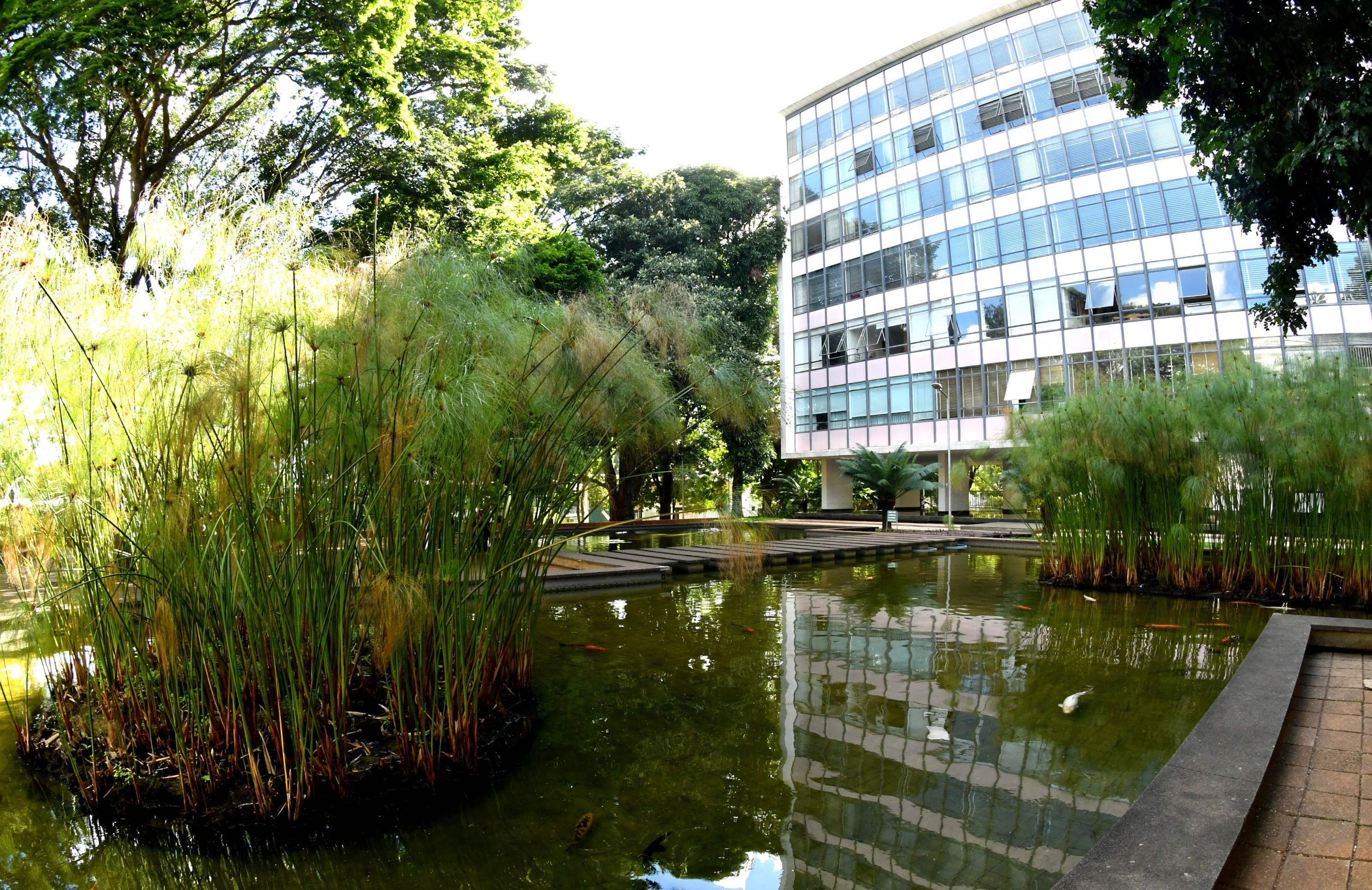 O Laguinho da 308 Sul &eacute; muito conhecido em Bras&iacute;lia