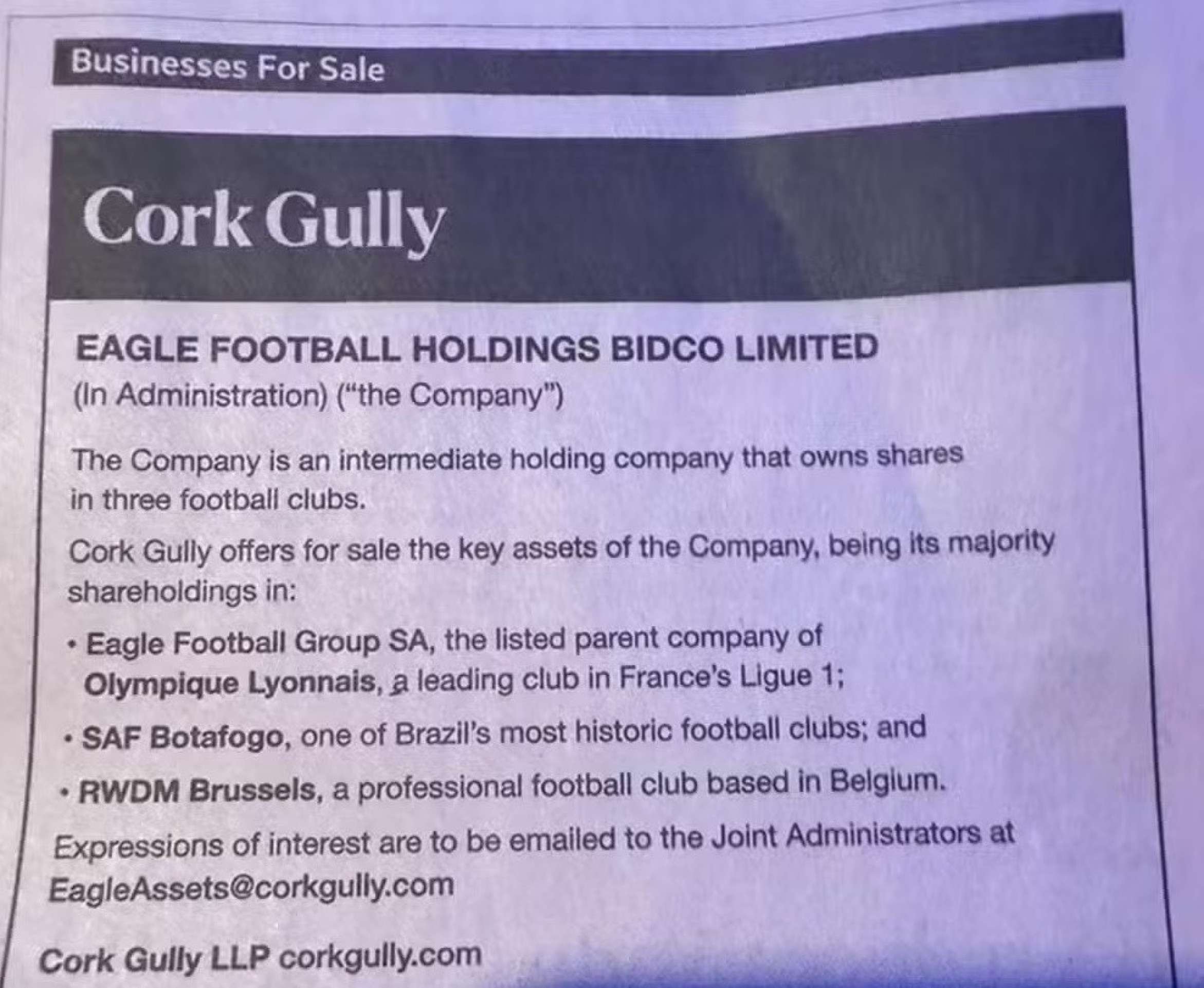 An&uacute;ncio da venda do Botafogo, Brussels e Lyon, o combo de times do Grupo Eagle, s&oacute;cio majorit&aacute;rio do clube carioca campe&atilde;o da Libertadores e do Brasileir&atilde;o em 2024