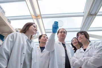 Equipe usou uma ferramenta de edição de DNA e a programou para localizar e cortar seções específicas do código genético de uma célula -  (crédito: Cortesia do Instituto Van Andel )