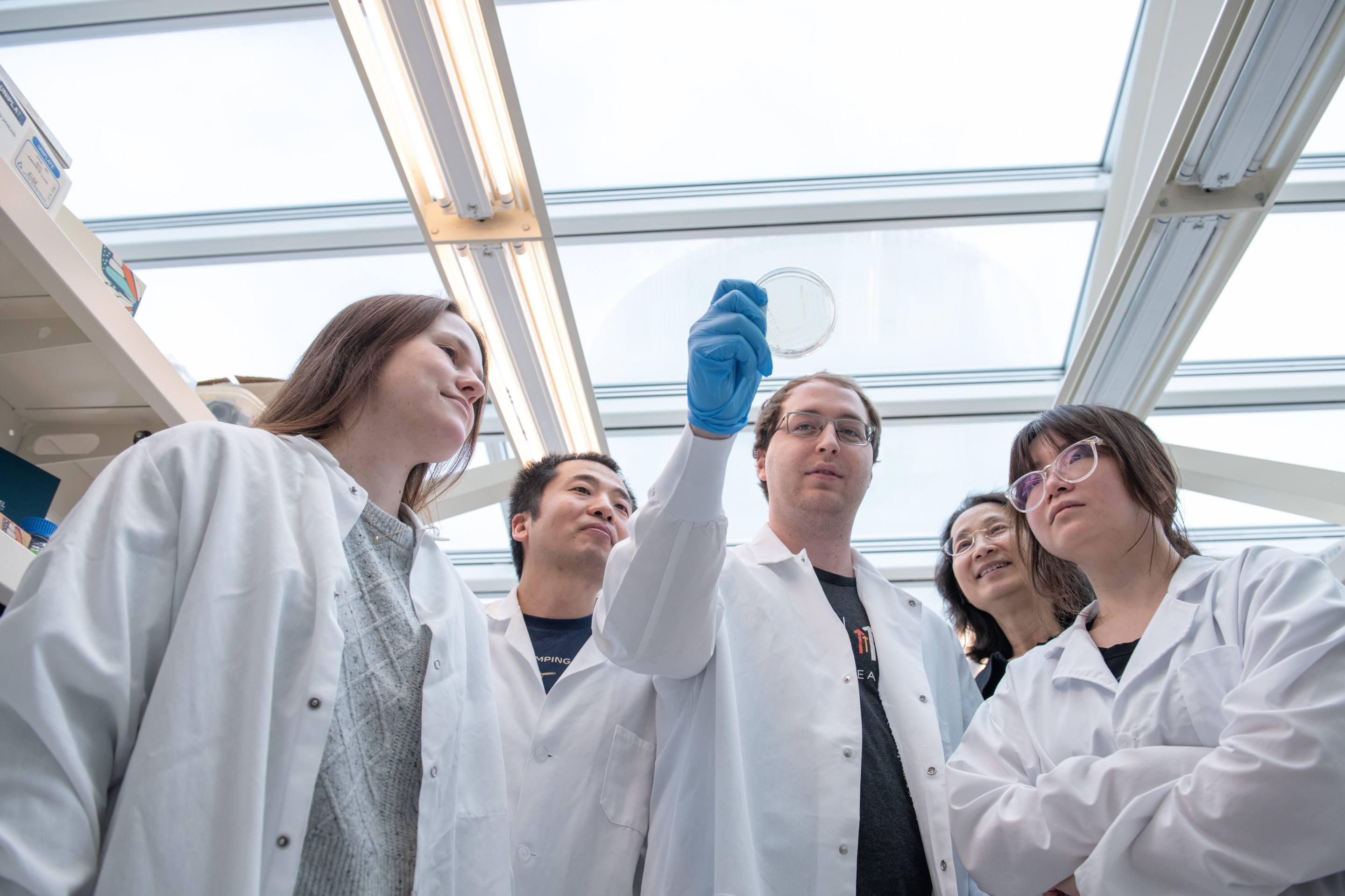 Edição genética tem potencial para tratar câncer, afirmam pesquisadores