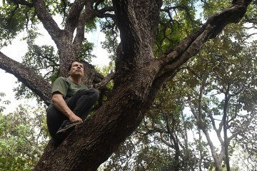 César Victor chama a atenção para a relação direta entre conservação da vegetação nativa, segurança hídrica e qualidade de vida no Distrito Federal -  (crédito:  Carlos Vieira/CB/D.A Press)