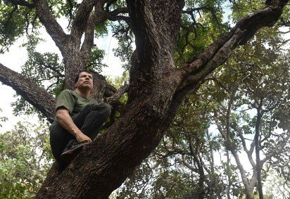 César Victor chama a atenção para a relação direta entre conservação da vegetação nativa, segurança hídrica e qualidade de vida no Distrito Federal -  (crédito:  Carlos Vieira/CB/D.A Press) -César Victor chama a atenção para a relação direta entre conservação da vegetação nativa, segurança hídrica e qualidade de vida no Distrito Federal -  (crédito:  Carlos Vieira/CB/D.A Press)