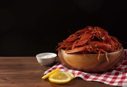 Um estudo da Universidade de Gotemburgo, na Suécia, publicado na revista Scientific Reports, reforça que lagostas sentem dor e não apenas reflexos mecânicos. -  (crédito: FreePick/Divulgação ) -Um estudo da Universidade de Gotemburgo, na Suécia, publicado na revista Scientific Reports, reforça que lagostas sentem dor e não apenas reflexos mecânicos. -  (crédito: FreePick/Divulgação )