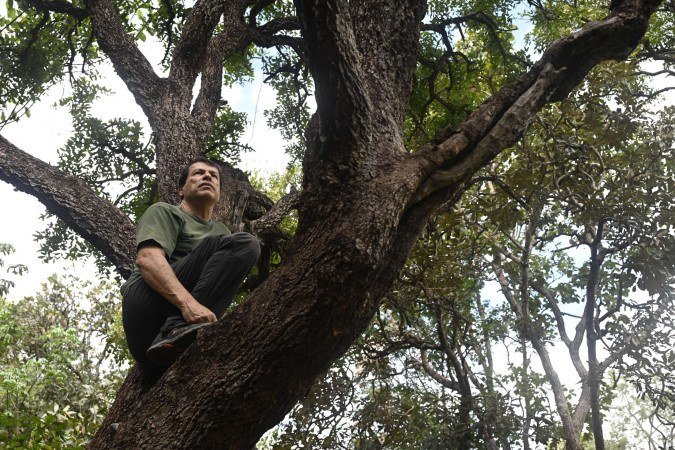Um engenheiro florestal na luta pela defesa do Cerrado