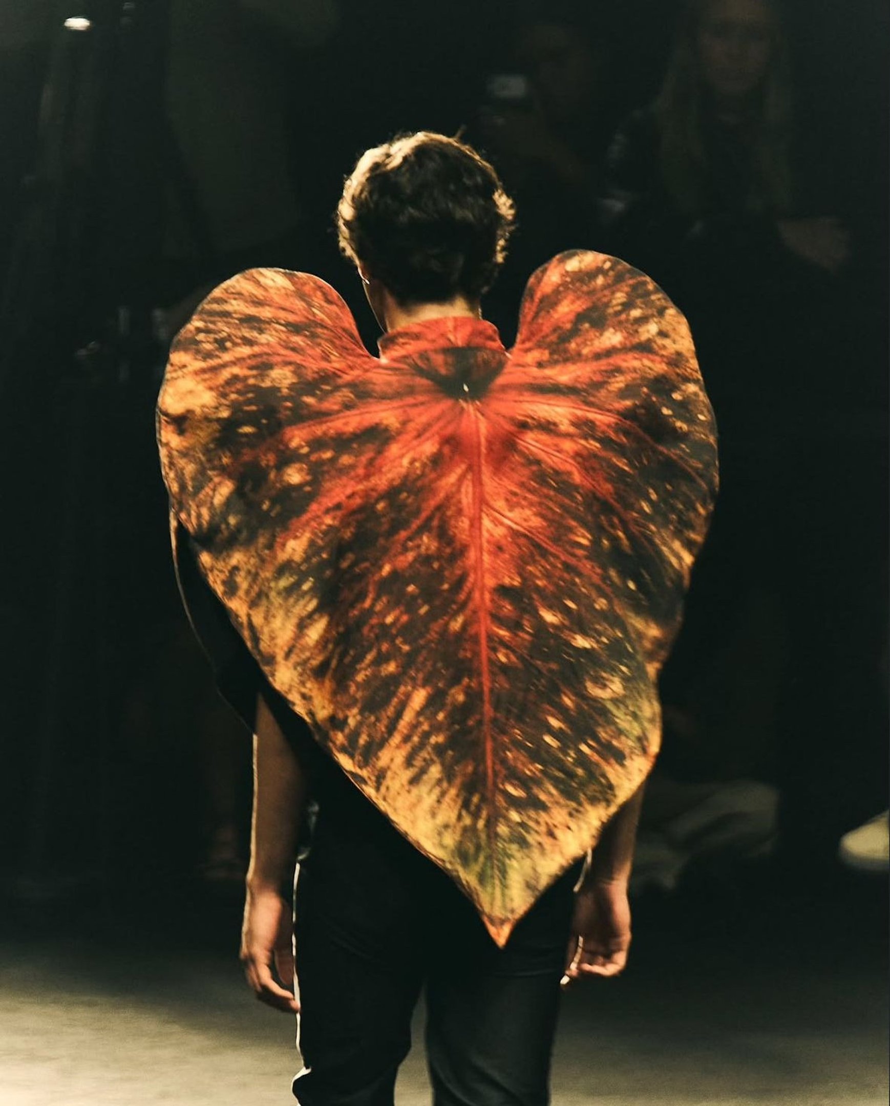 Normando na Rio Fashion Week