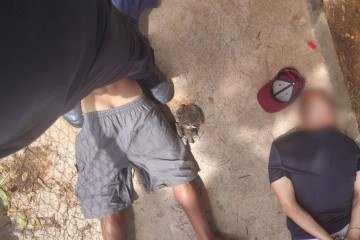 Os homens foram encaminhados à 15ª DP para as diligências legais -  (crédito: Polícia Civil do Distrito Federal/Divulgação)