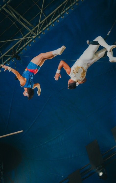 Números do espetáculo são adaptados de maneira a reduzir estímulos -  (crédito: João Pontes)