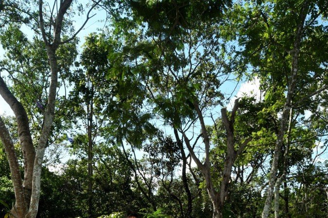  16/04/2026 Crédito: Marcelo Ferreira/CB/D.A Press. Brasil. Brasília - DF -  Associação Preserva Serrinha.