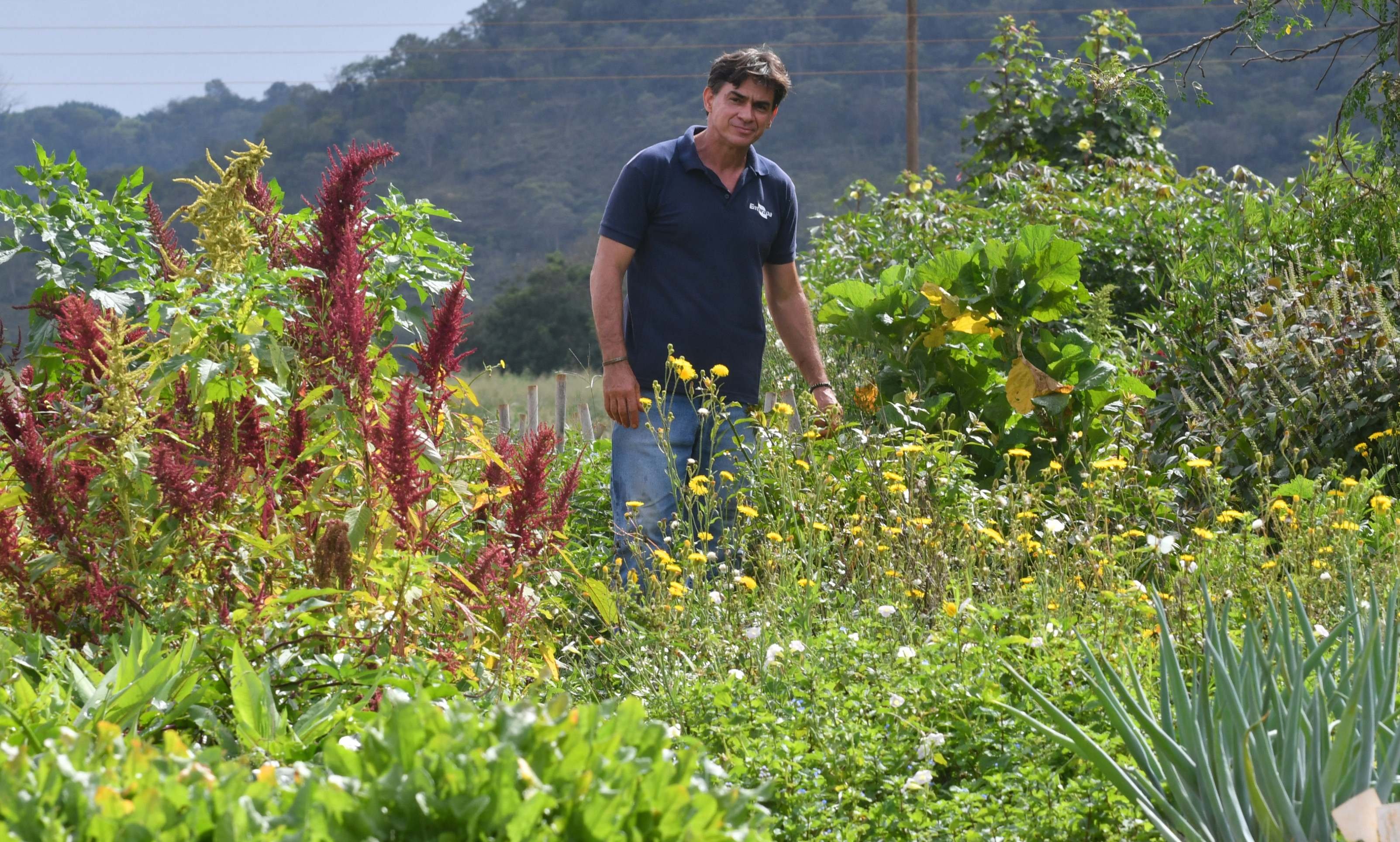  17/04/2026 Ed Alves CB/DA Press. CB Debate. Cidades. Caderno Aniversario de Brasilia 66 Anos. Hortali&ccedil;as Pancs. Na foto, Nuno. 