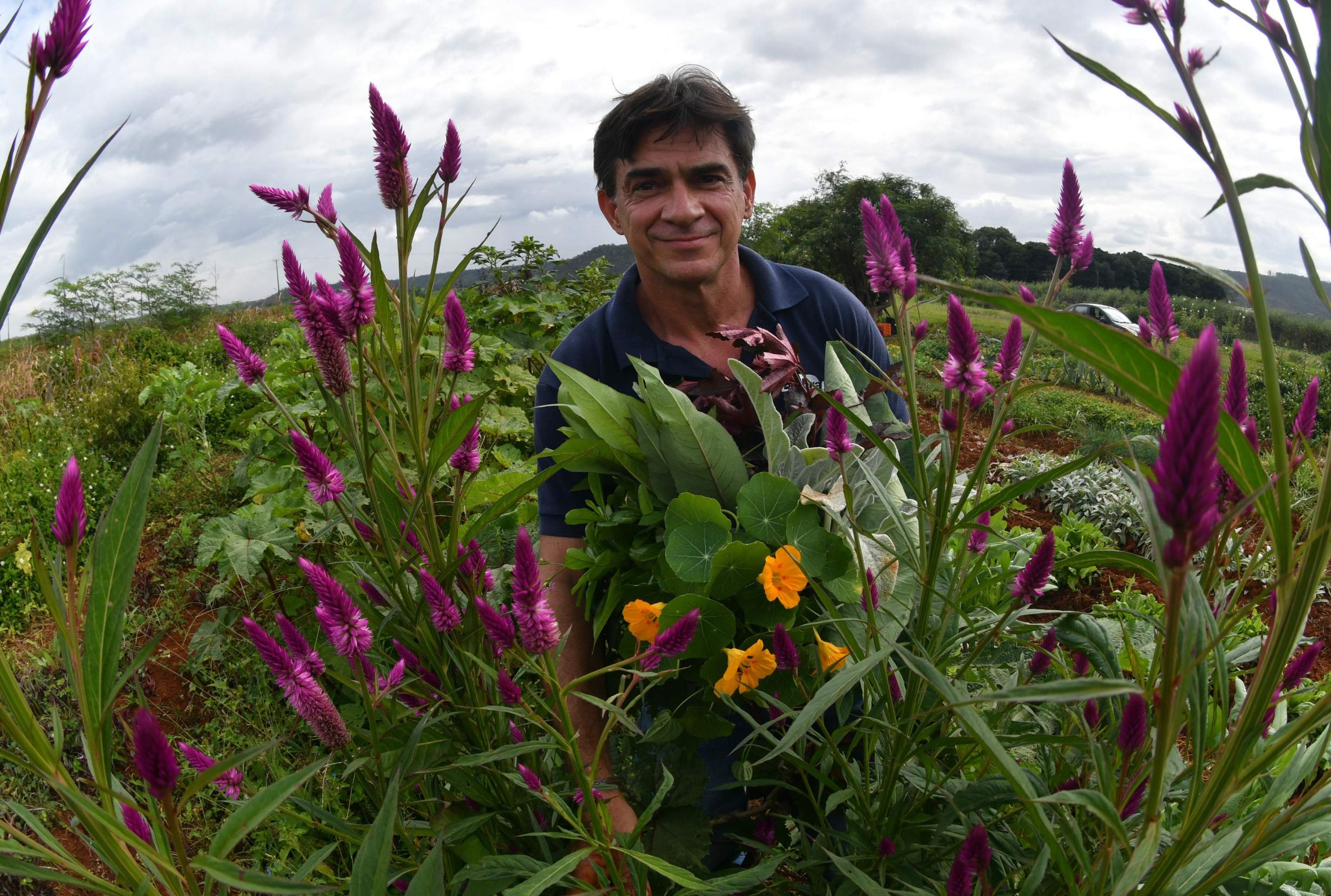  17/04/2026 Ed Alves CB/DA Press. CB Debate. Cidades. Caderno Aniversario de Brasilia 66 Anos. Hortali&ccedil;as Pancs. Na foto, Nuno. 
