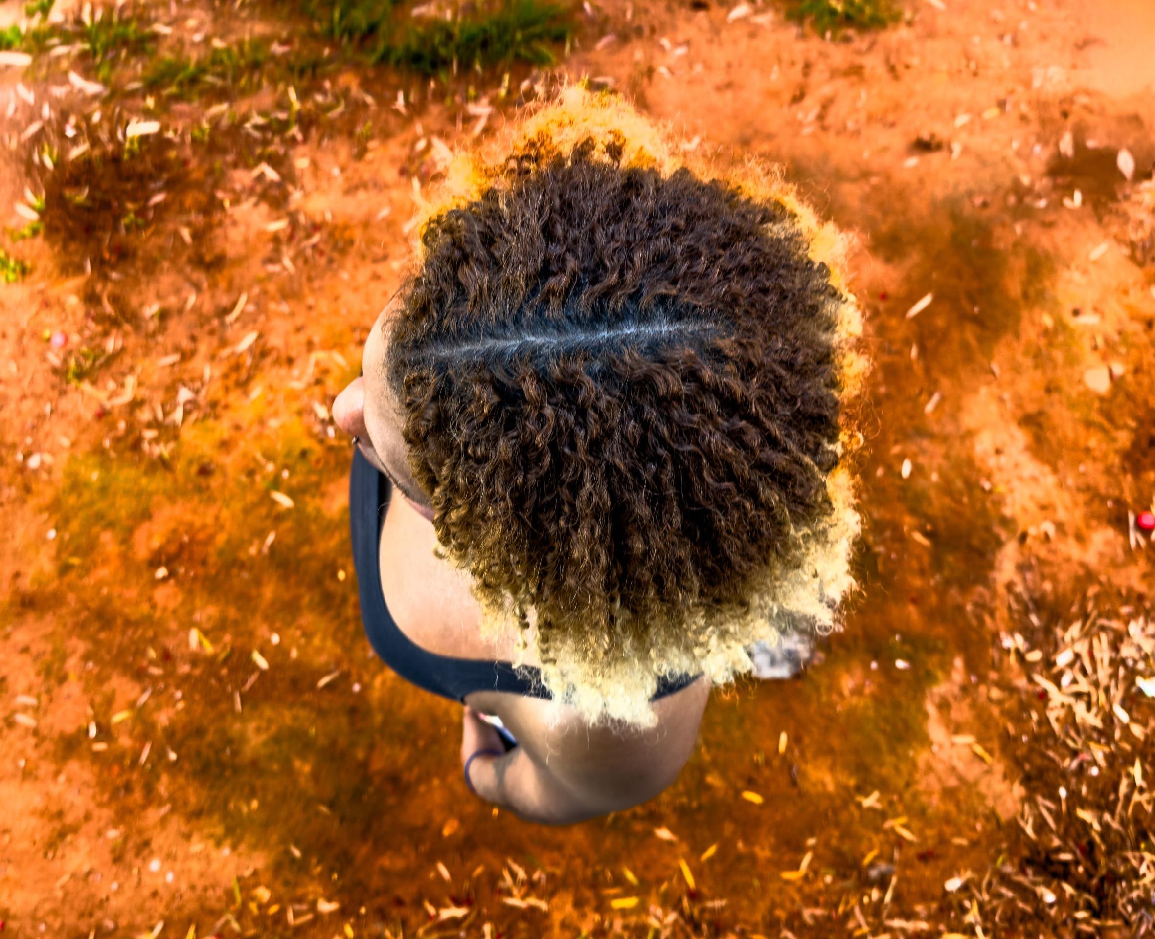 Exposição reflete sobre a relação entre artistas e curadores